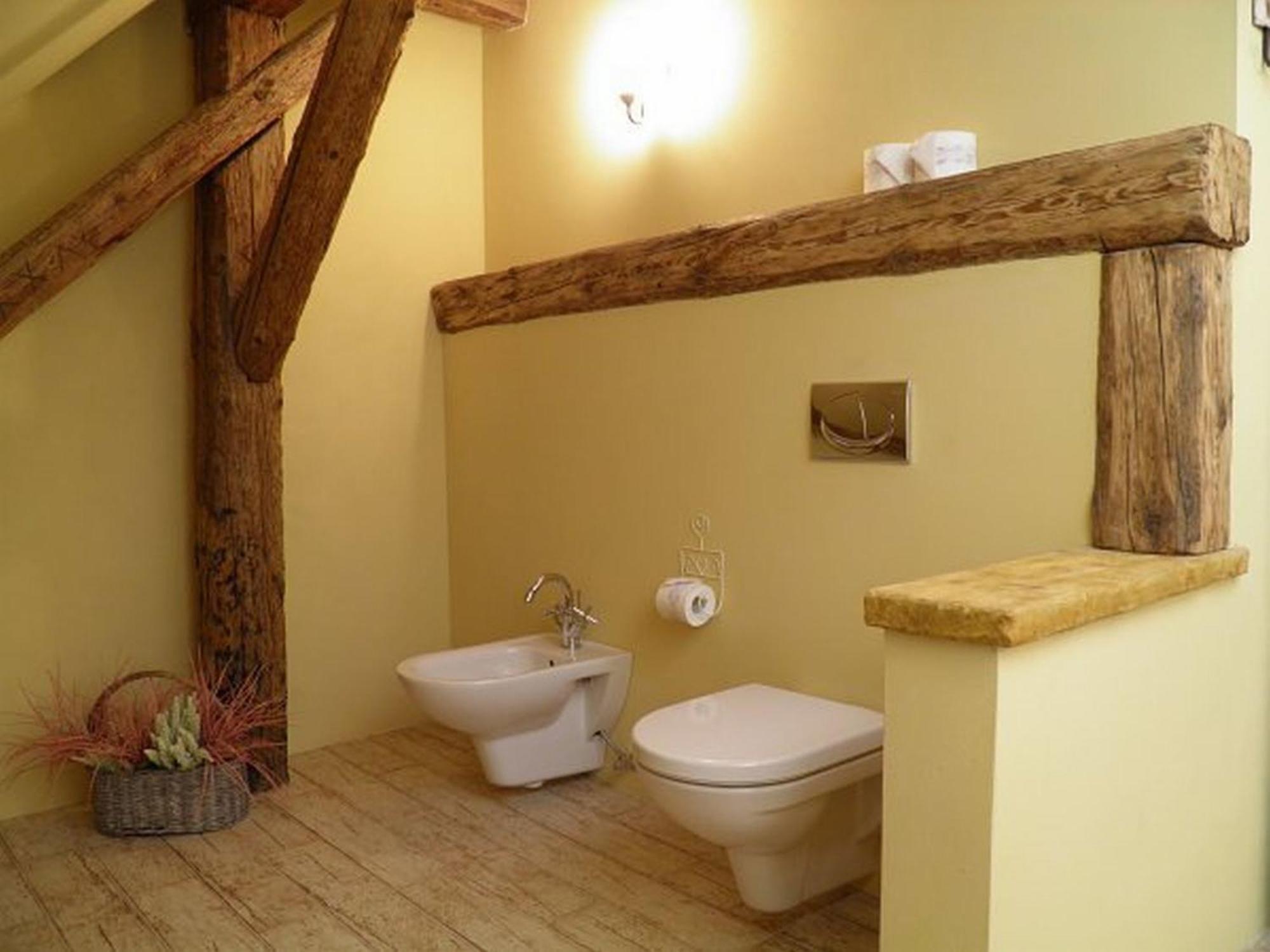 Dvur Olsiny -Hotel And Horse-Riding Karviná Cameră foto