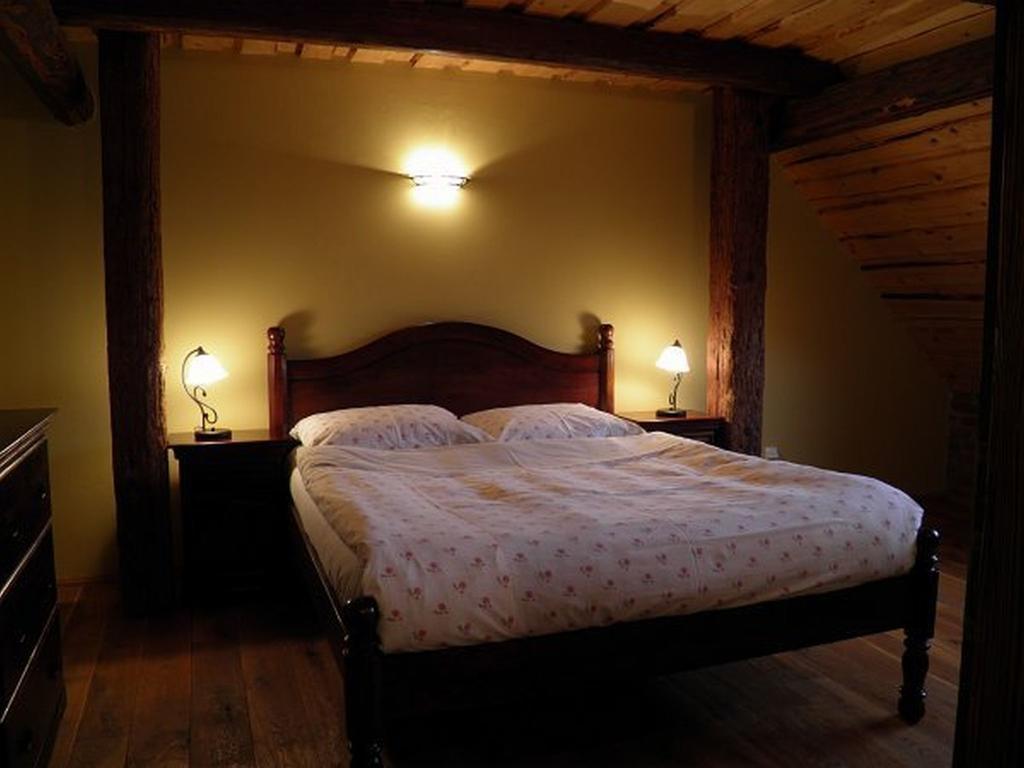 Dvur Olsiny -Hotel And Horse-Riding Karviná Cameră foto