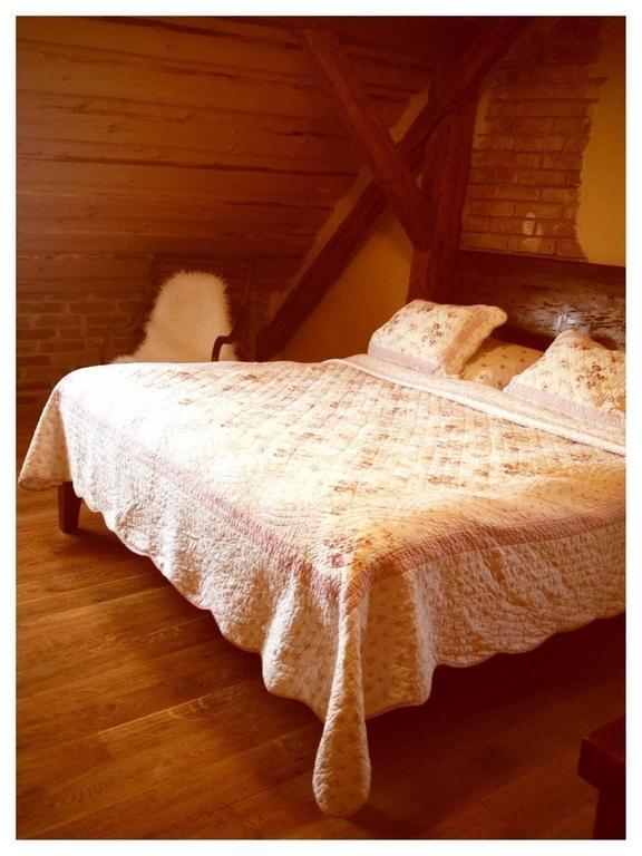 Dvur Olsiny -Hotel And Horse-Riding Karviná Cameră foto